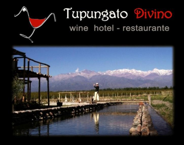 Tupungato Divino Villa Buitenkant foto
