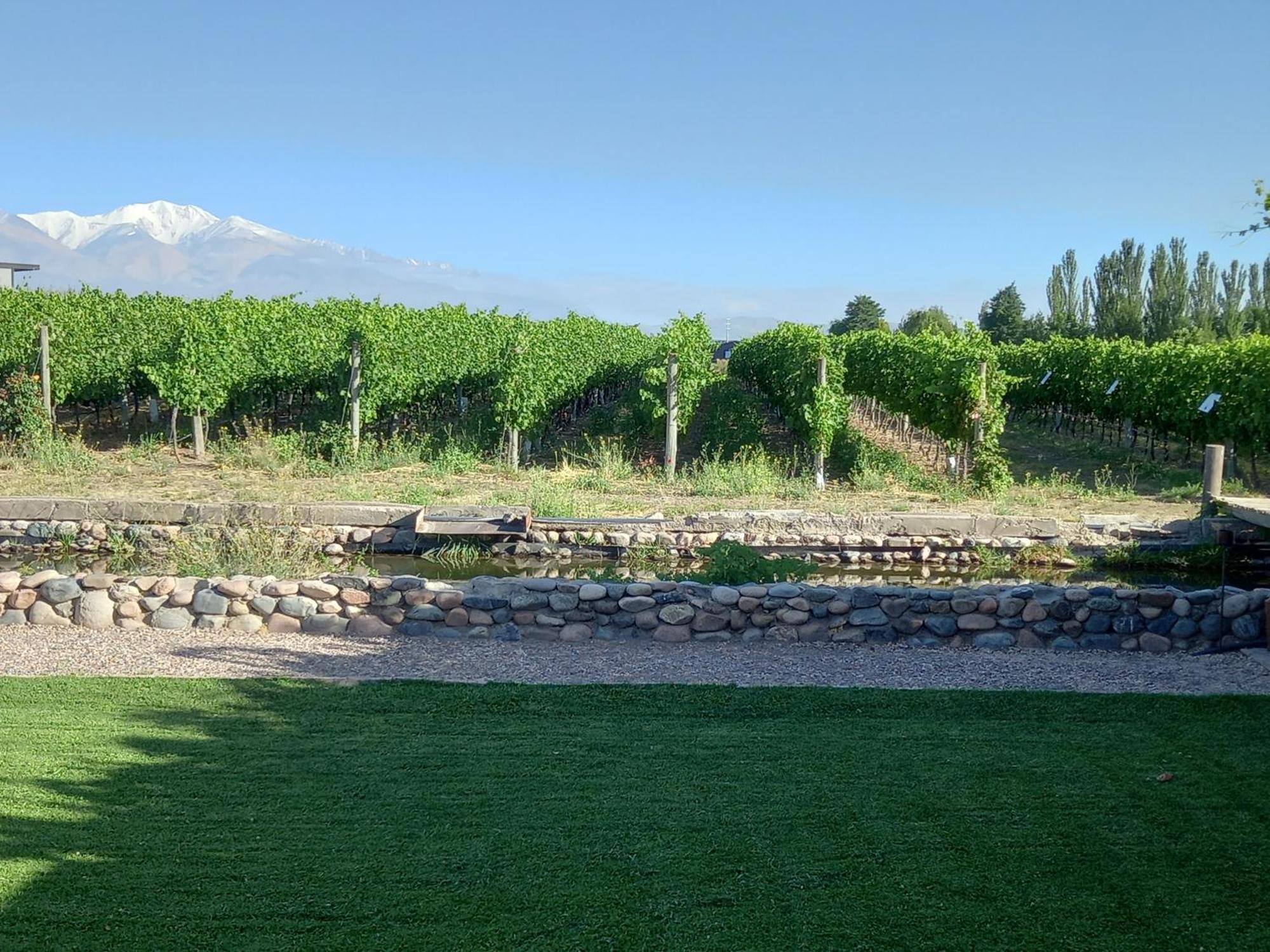Tupungato Divino Villa Buitenkant foto