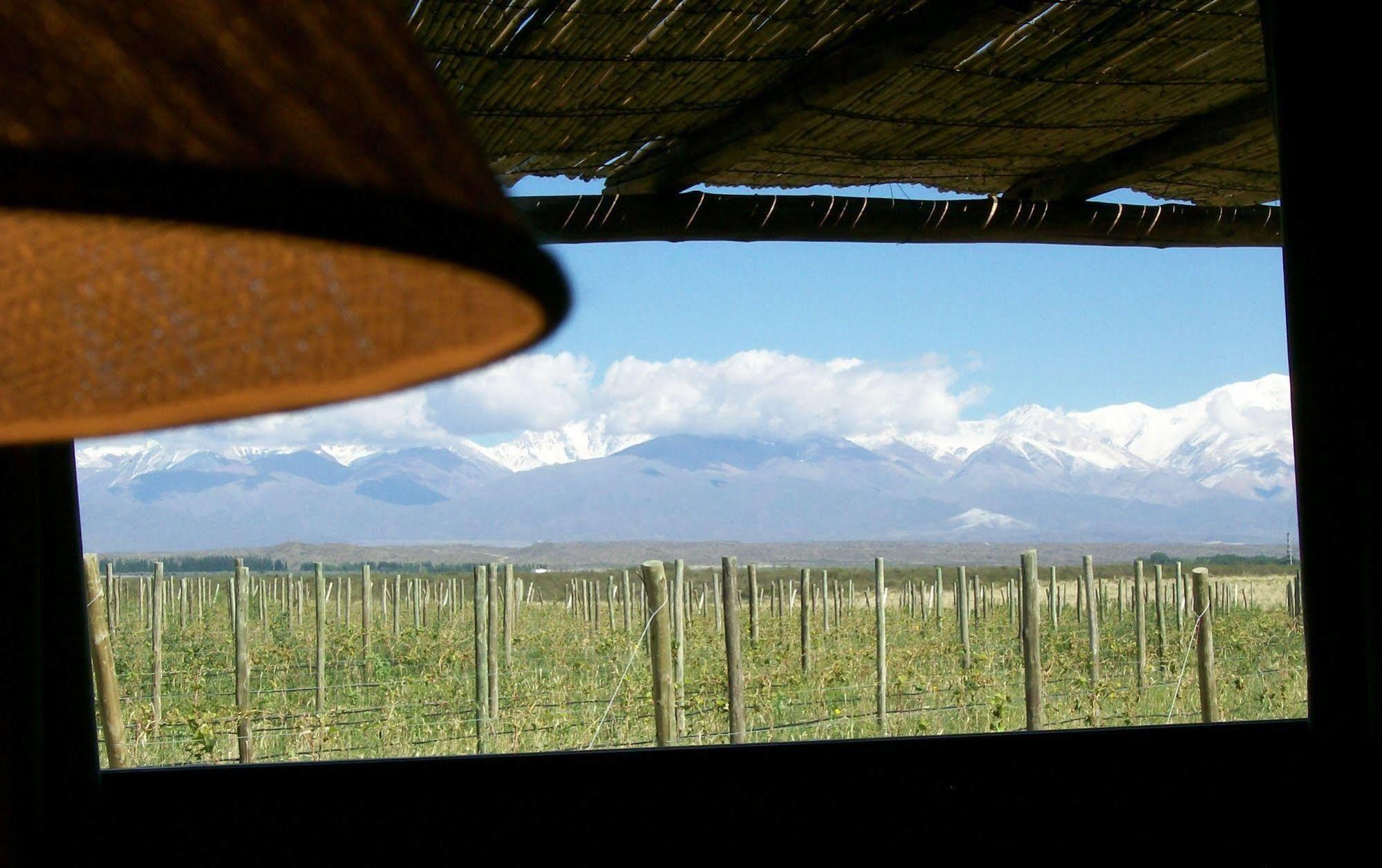 Tupungato Divino Villa Buitenkant foto